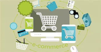 跨境电商零售出口 从入门到精通的企业管理指南