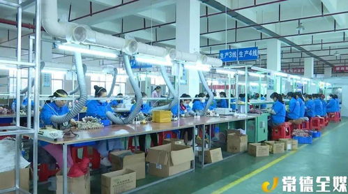 澧县电子厂落户 家门口就业新机遇与企业管理咨询的价值